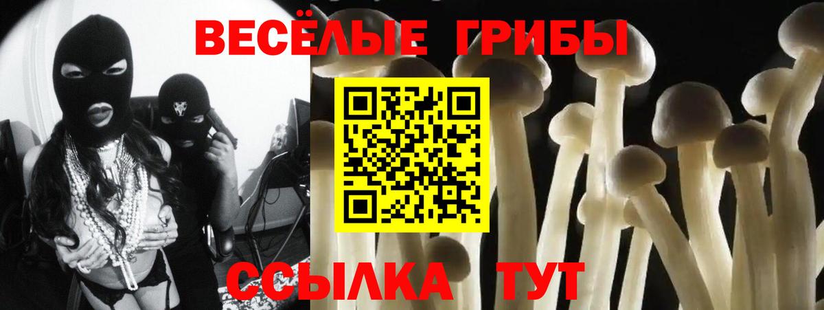 Псилоцибиновые грибы Psilocybine cubensis  Вход с VPN  Кыштым 